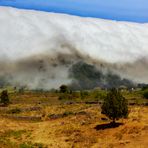 TSUNAMI NEBULOSO O EFECTO FOEHN (EL PASO / LA PALMA). Dedicada a MARI CARMEN MARCOS BÁSCONES.