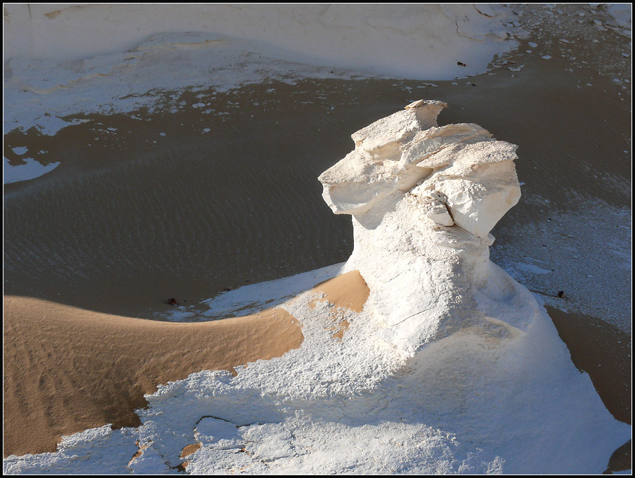 tête de lion