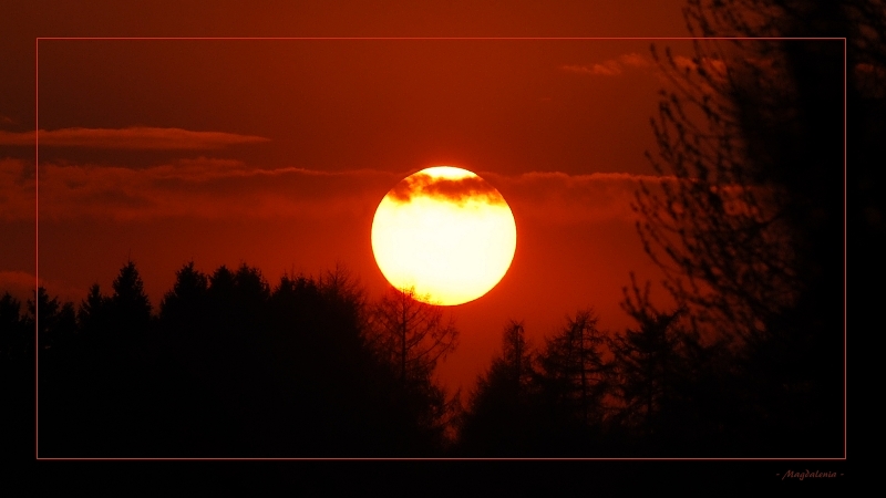 Tête de moine solaire