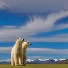 Tu penses que quelqu'un va nous apporter de la glace