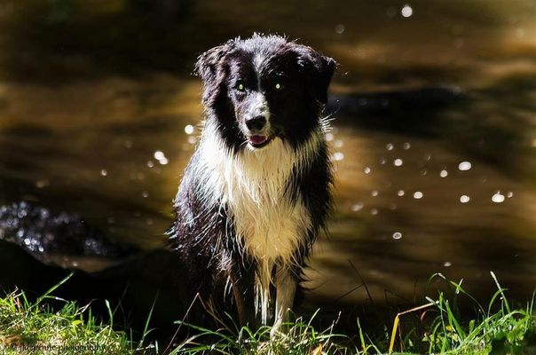 Tu veux bien me prendre en photo à la sorti de mon bain ?