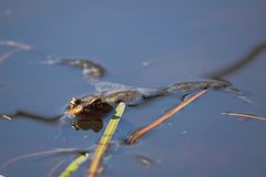 tu viens on est bien dans l'eau