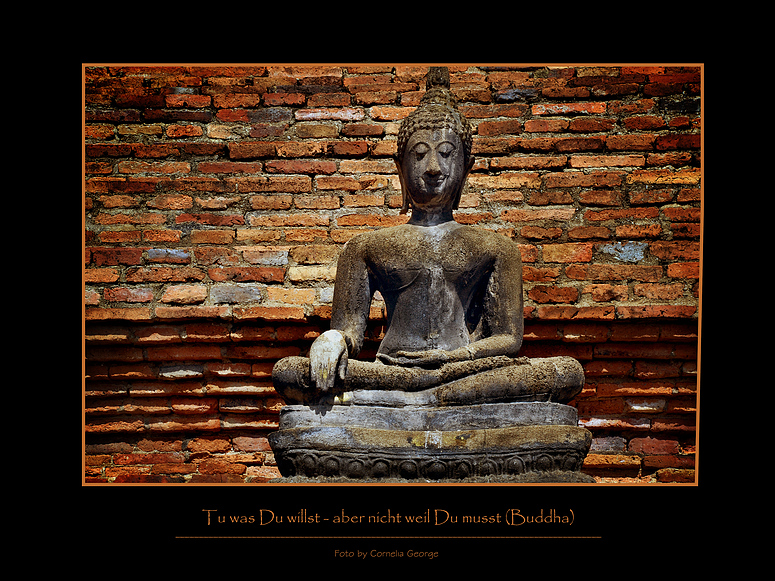 Tu was du willst – aber nicht, weil du musst. (Buddha)