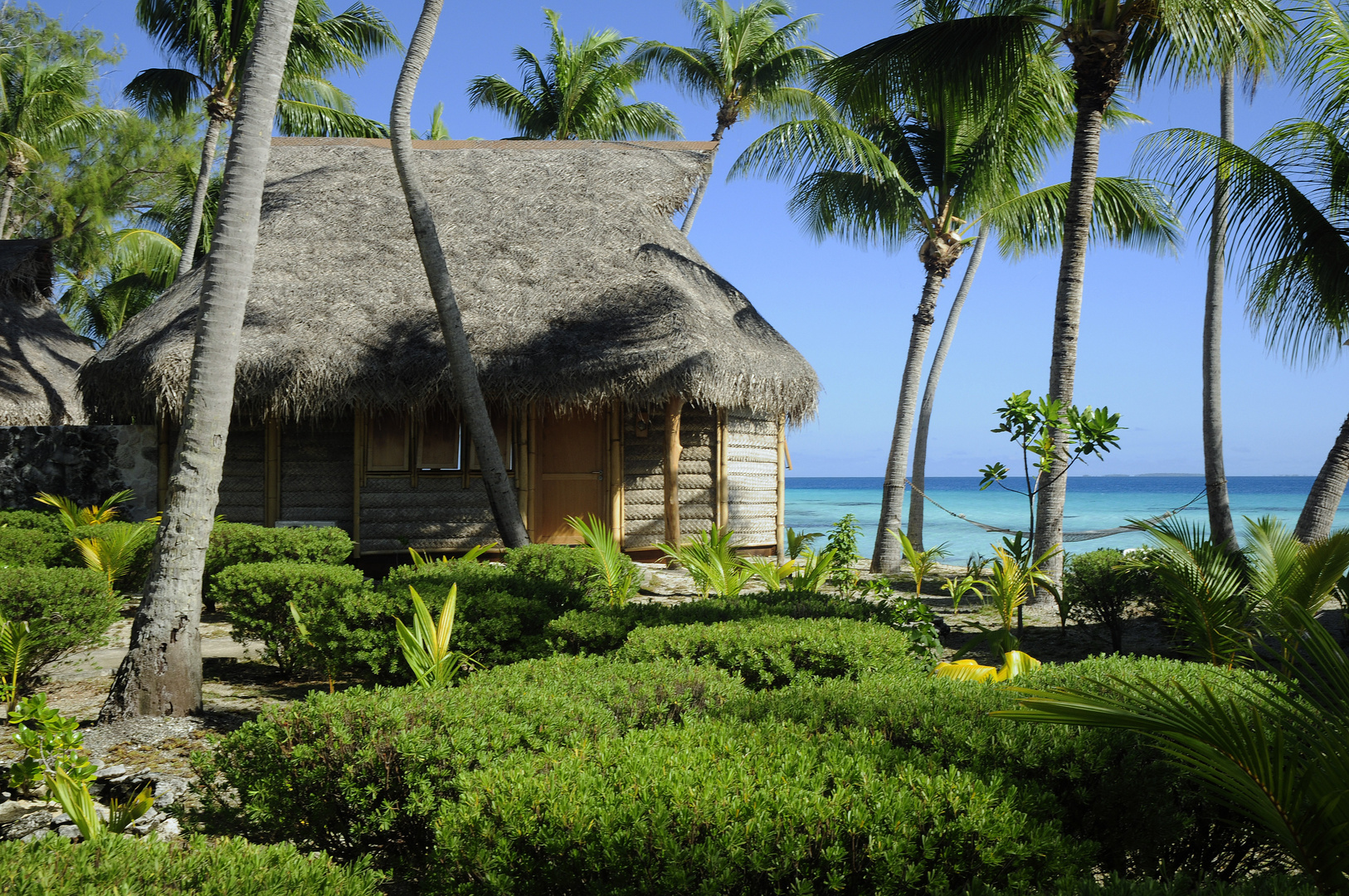 TUAMOTU ATOLL TIKEHAU OCEANIA