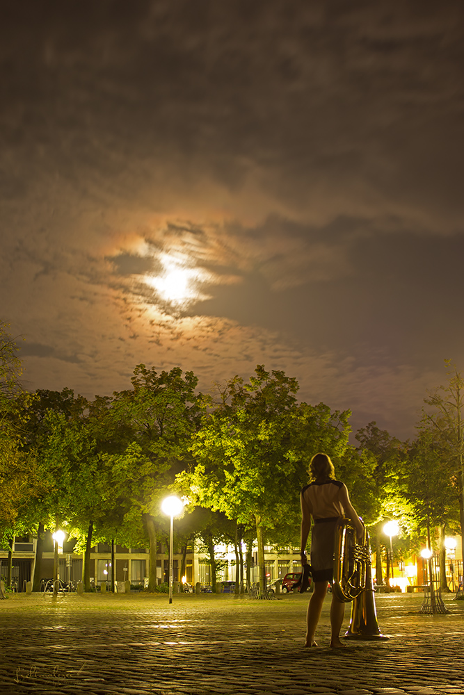 Tuba im Vollmond