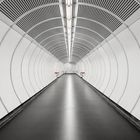Tube