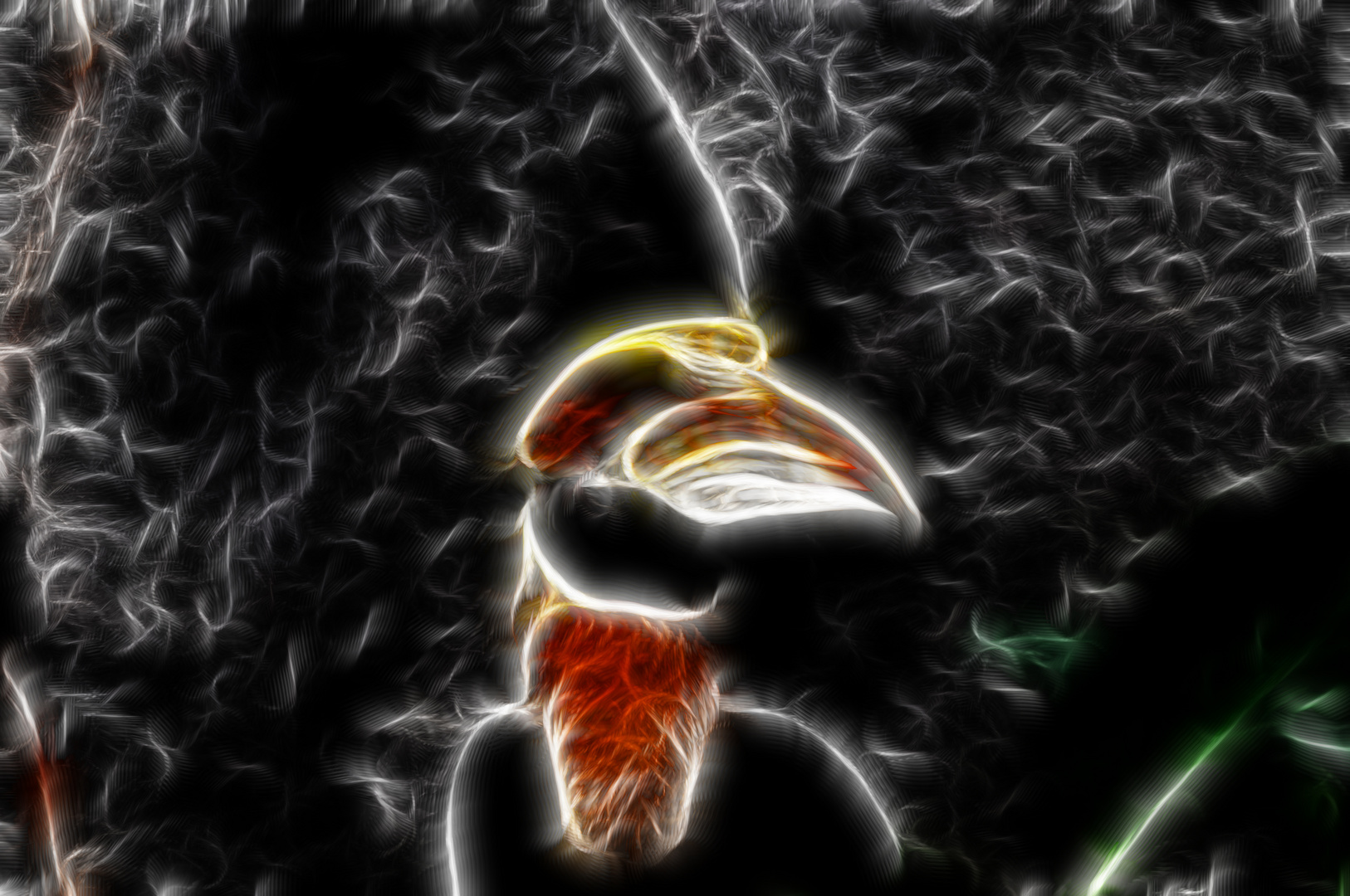 Tucan Fractal