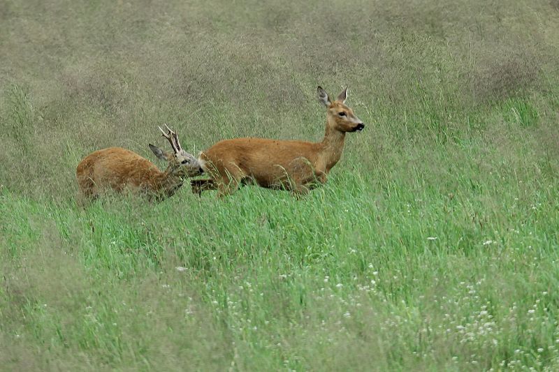 Tuchfühlung