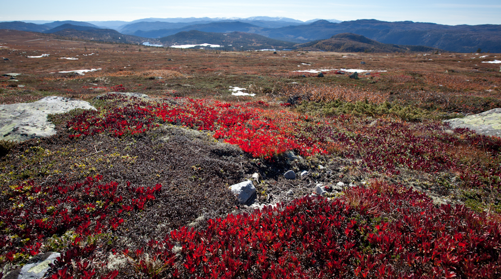 Tudalfjell Telemark