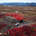 Tudalfjell Telemark