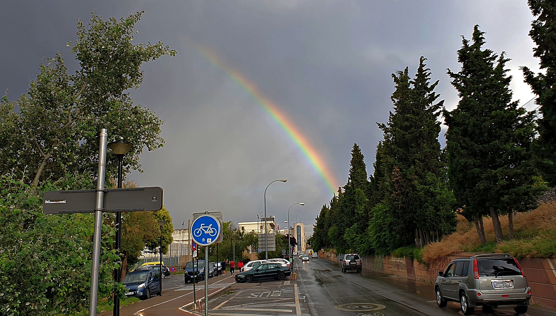 Tudela, (Navarra) España.