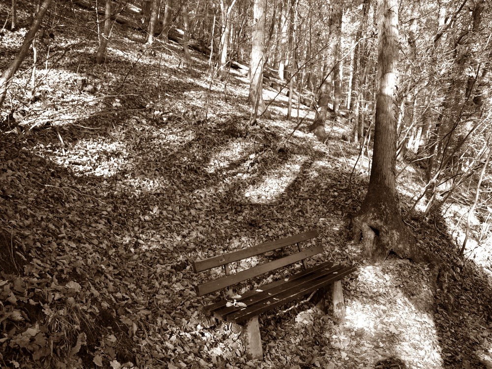 tue nie jemanden weh denn so wie es in den wald reinschreit kommt es wieder herraus..