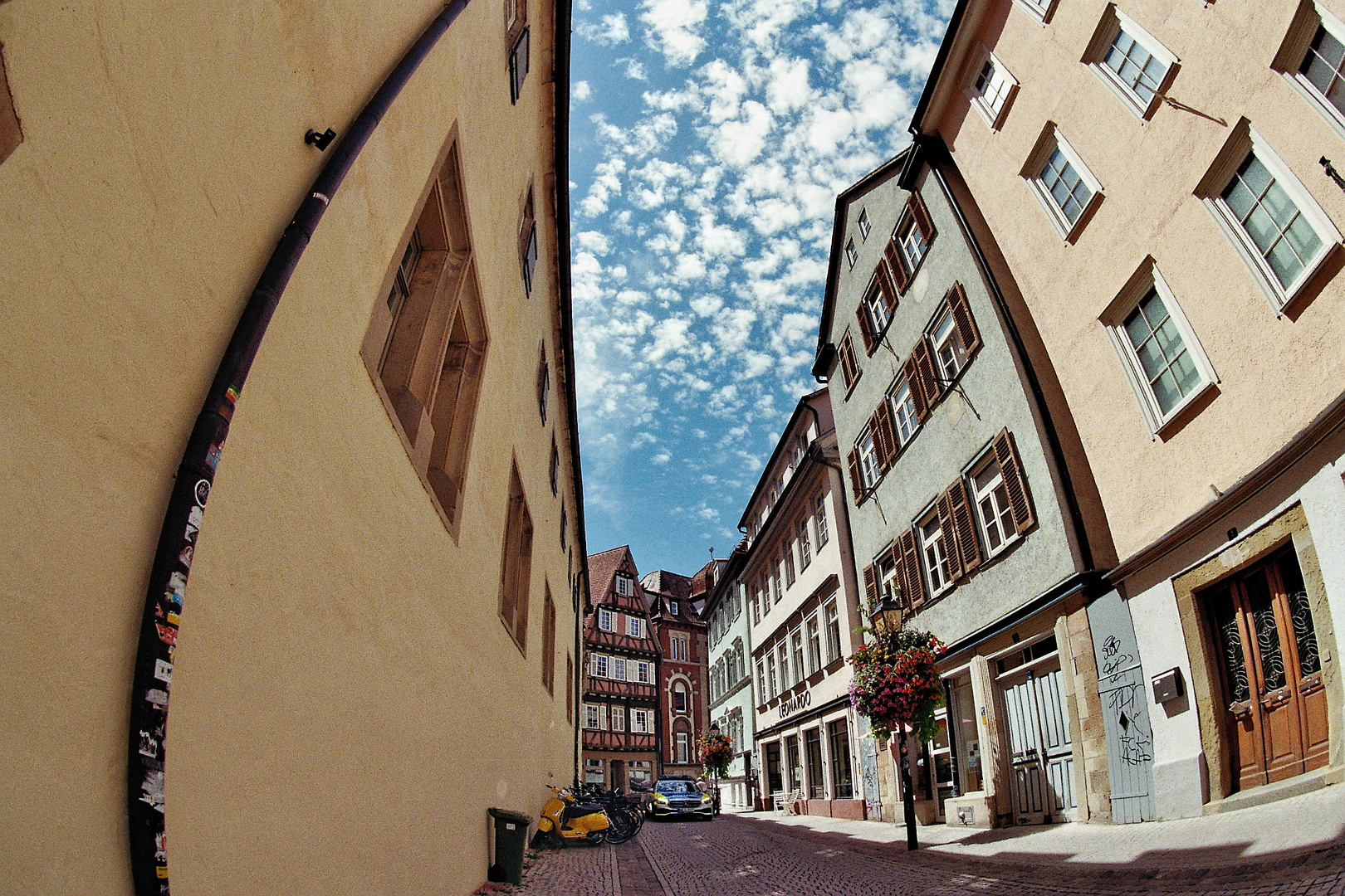 Tübingen (1)