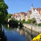 Tübingen