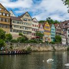 Tübingen