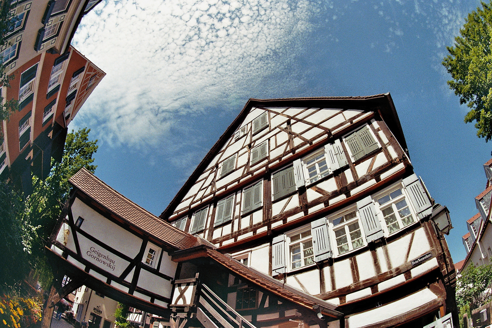 Tübingen (8)