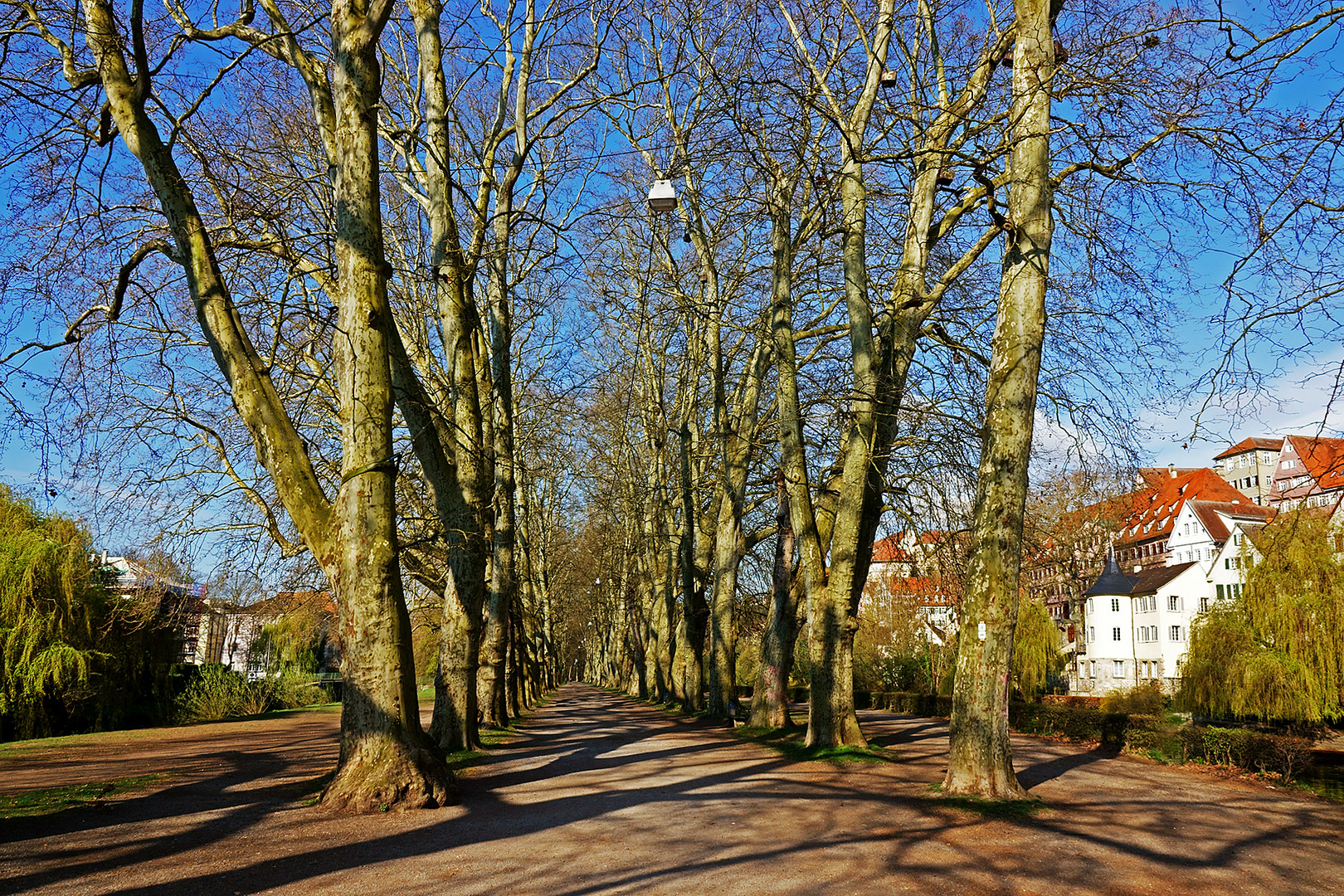 Tübingen am Neckar