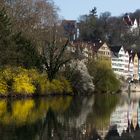 Tübingen am Neckar