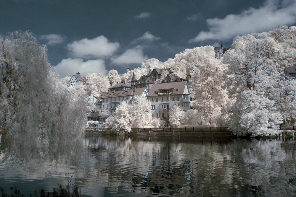 Tübingen am Neckarufer.