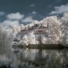 Tübingen am Neckarufer.