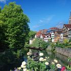 Tübingen