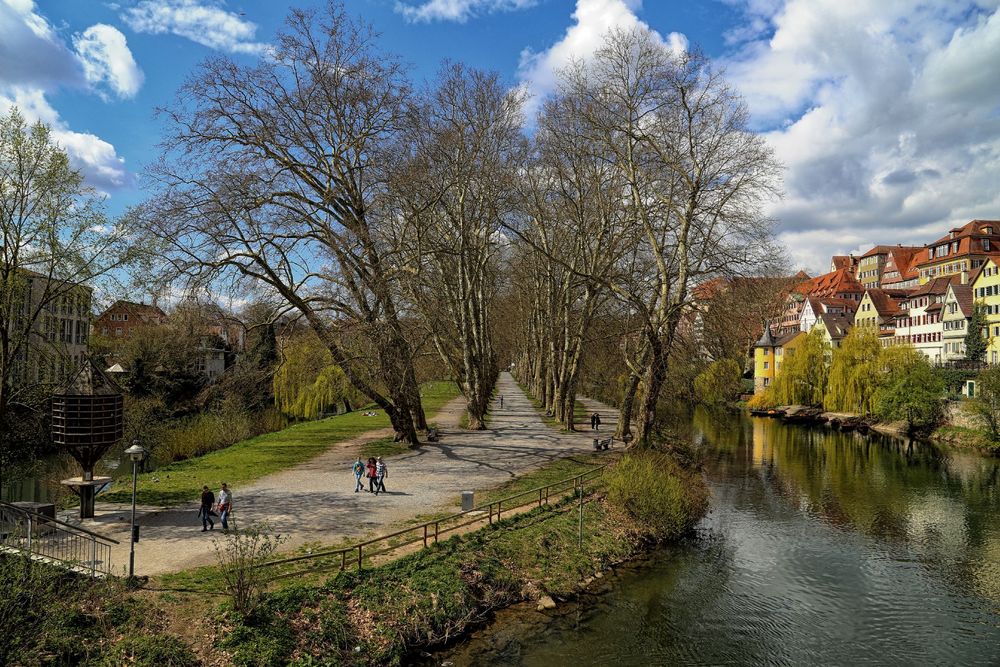 Tübingen ...