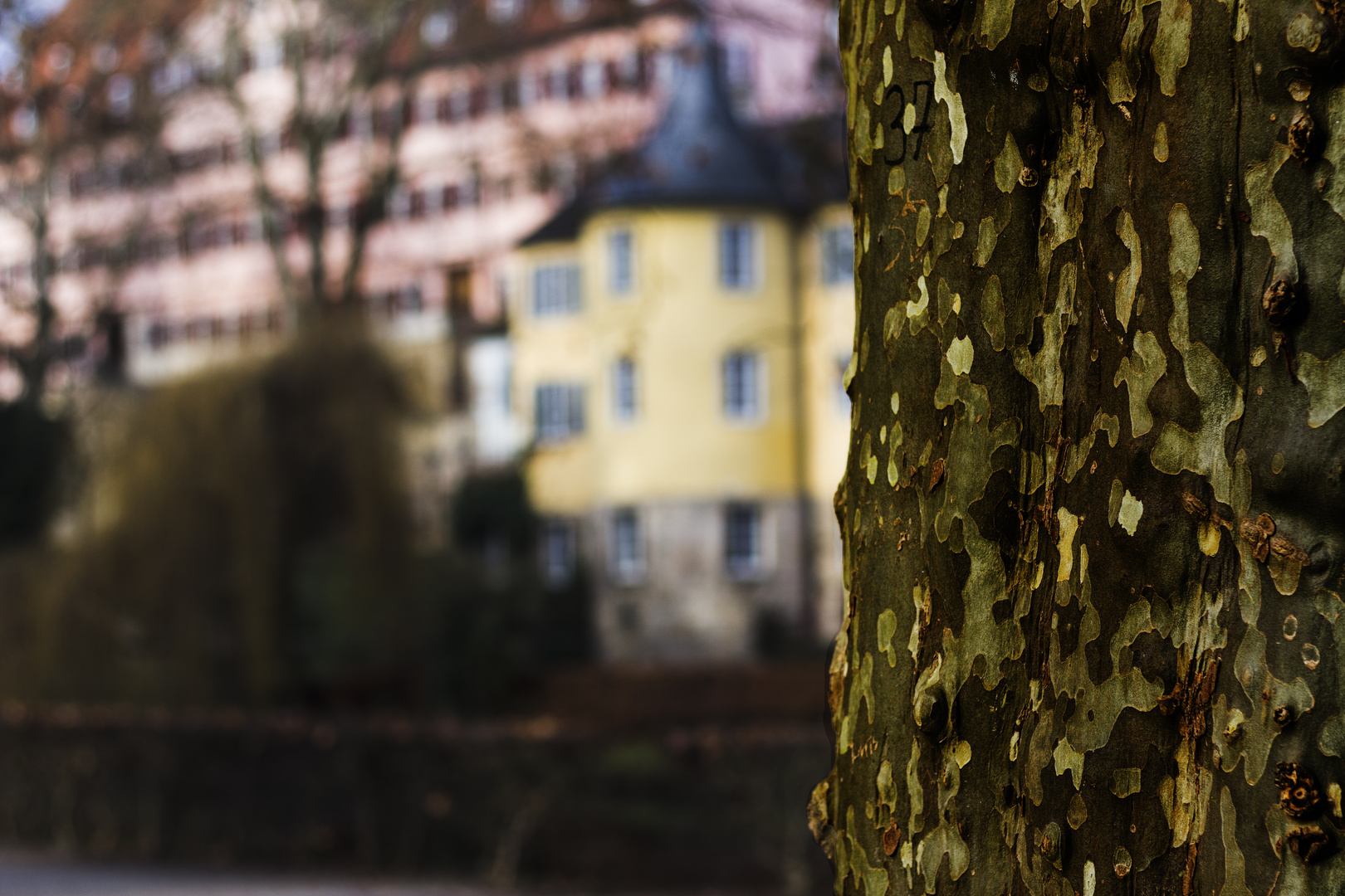 Tübingen Hölderlinturm