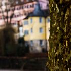 Tübingen Hölderlinturm