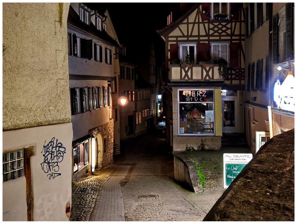 Tübingen im Erholungsmodus