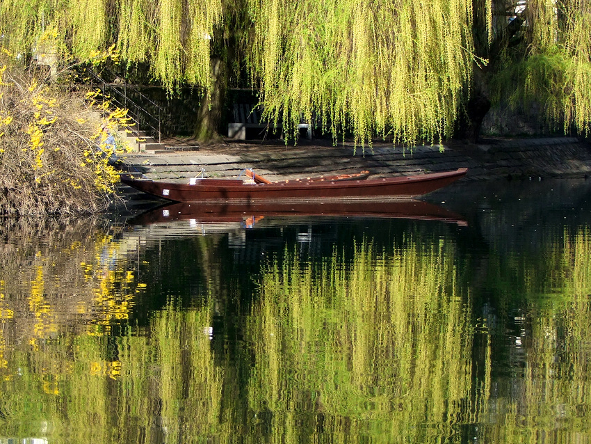 Tübingen im Frühling 3