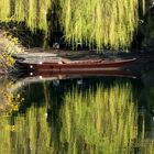 Tübingen im Frühling 3