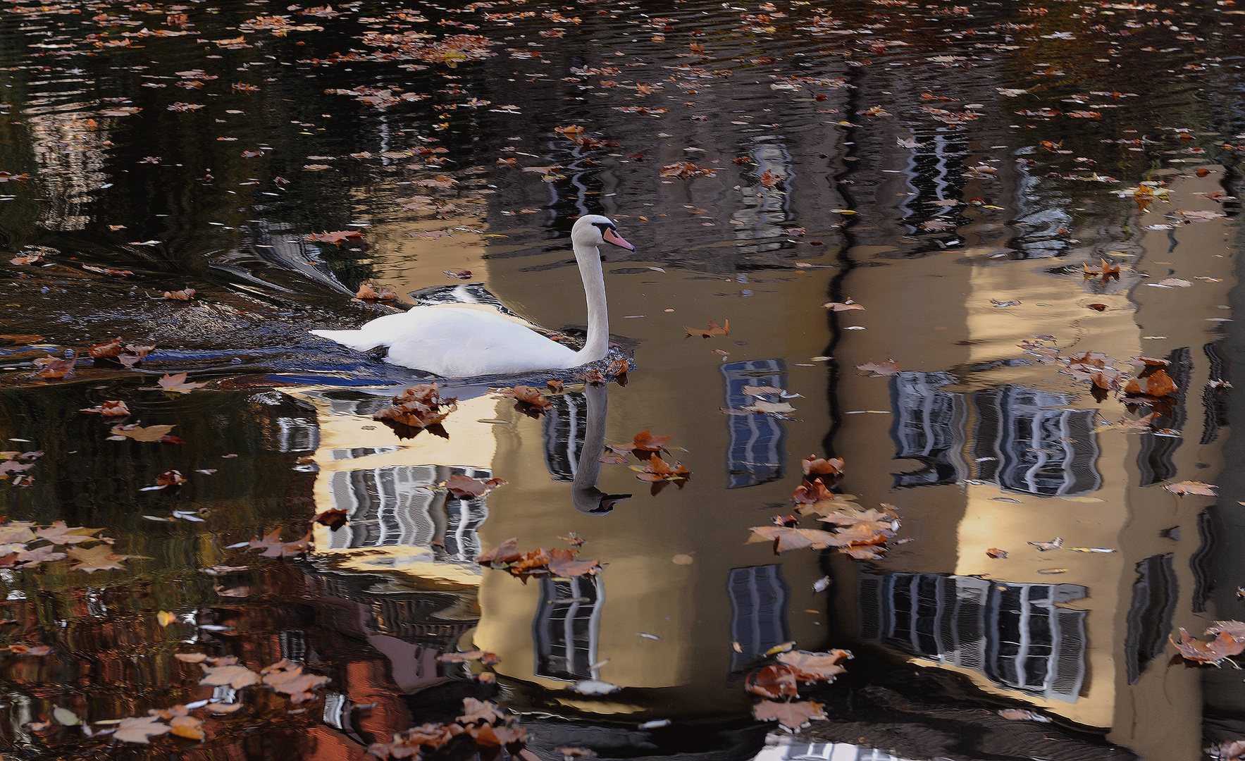 Tübingen im Herbst (3)