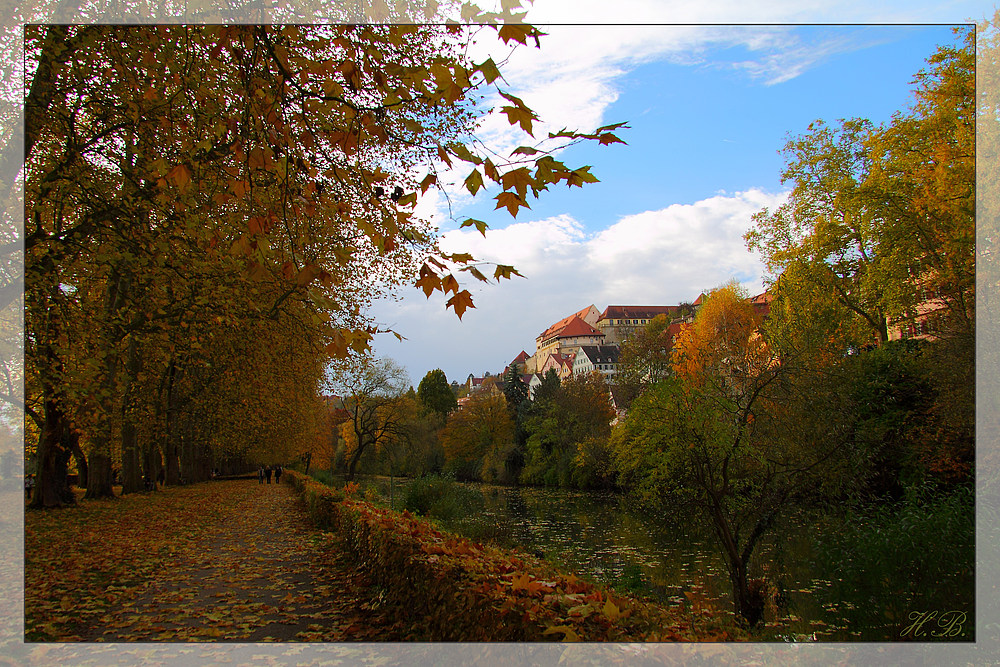 Tübingen im Herbst