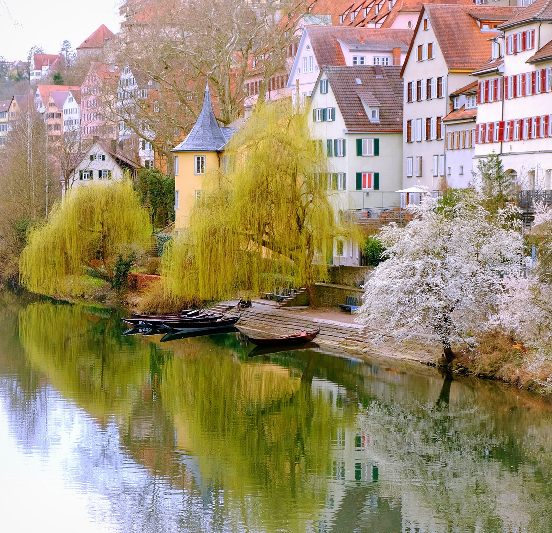 Tübingen im März