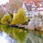 Tübingen im März