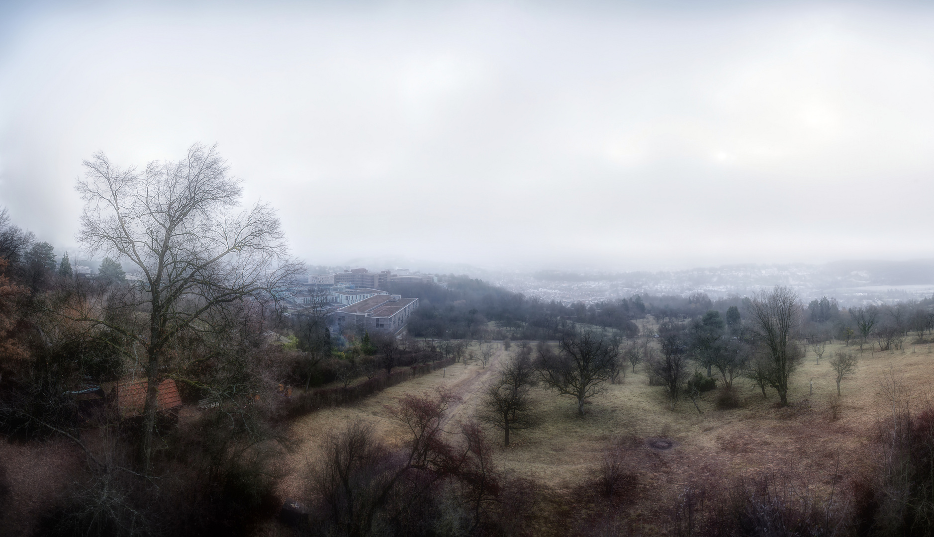 Tübingen im Nebel