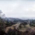 Tübingen im Nebel