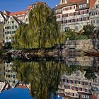 Tübingen im Spiegel