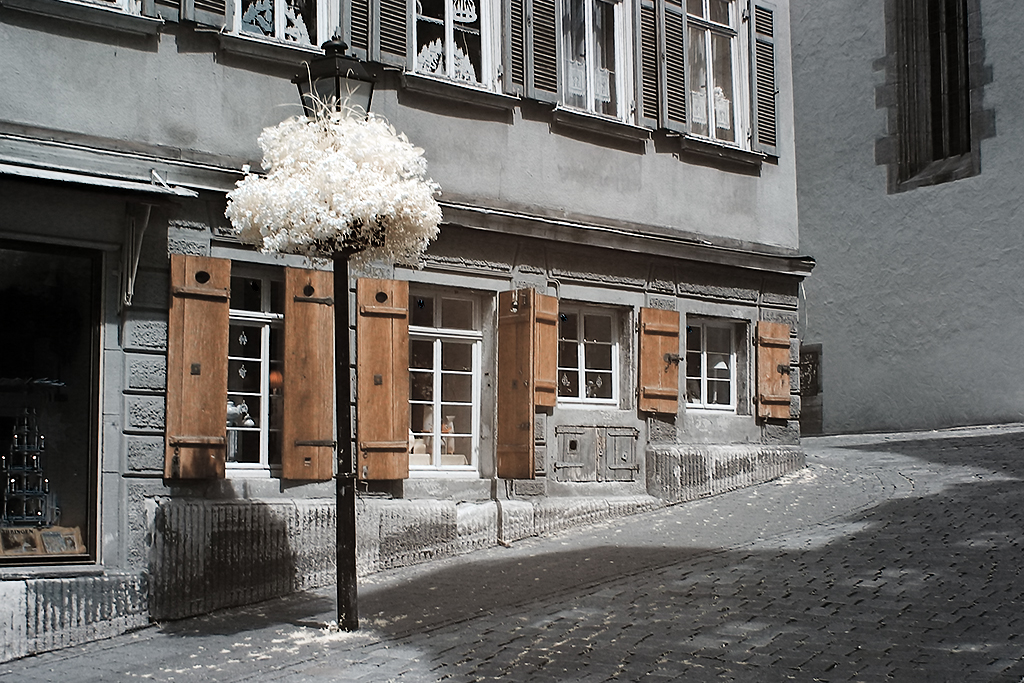 Tübingen in  IR