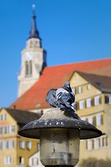 Tübingen ist....... schön