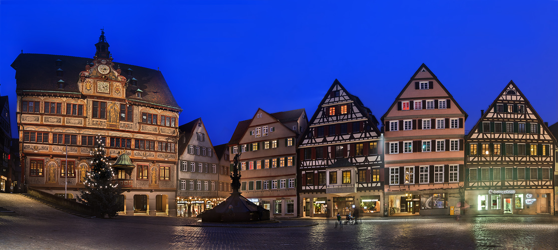 Tübingen mit Rathaus