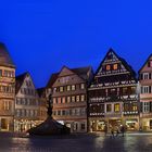 Tübingen mit Rathaus