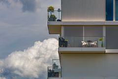 Tübingen Modern