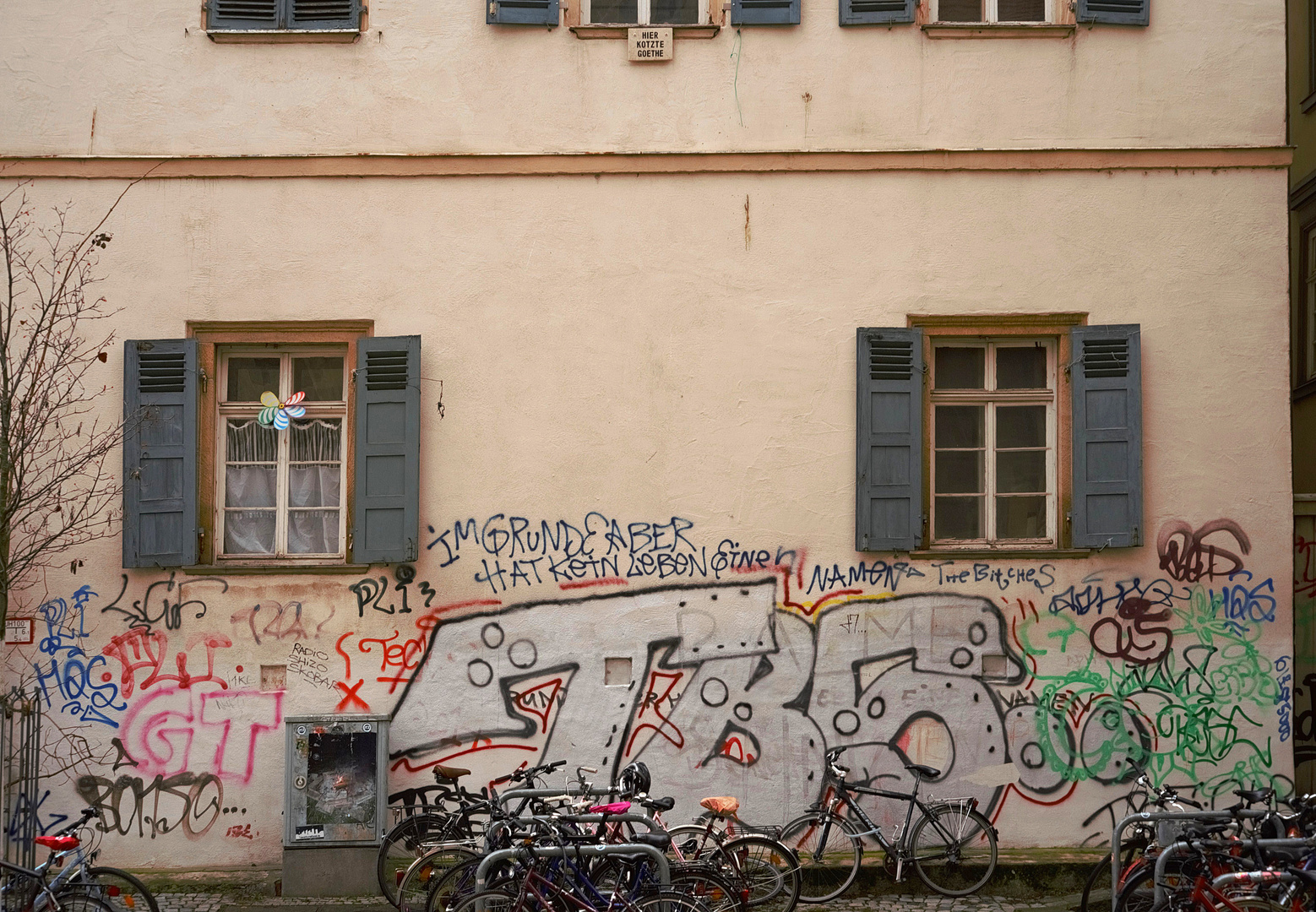 Tübingen - nicht nur der... 