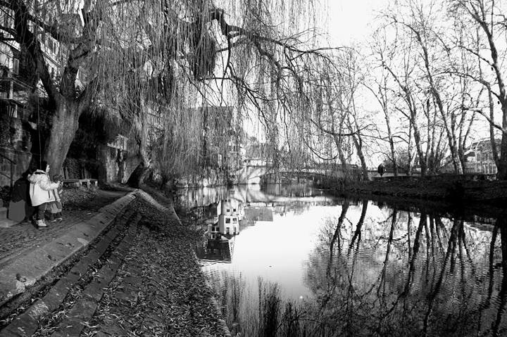 Tübingen on the water