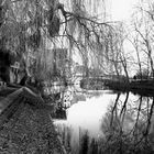 Tübingen on the water