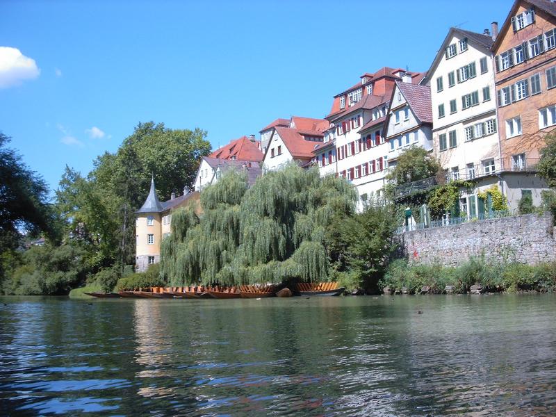 Tübingen original