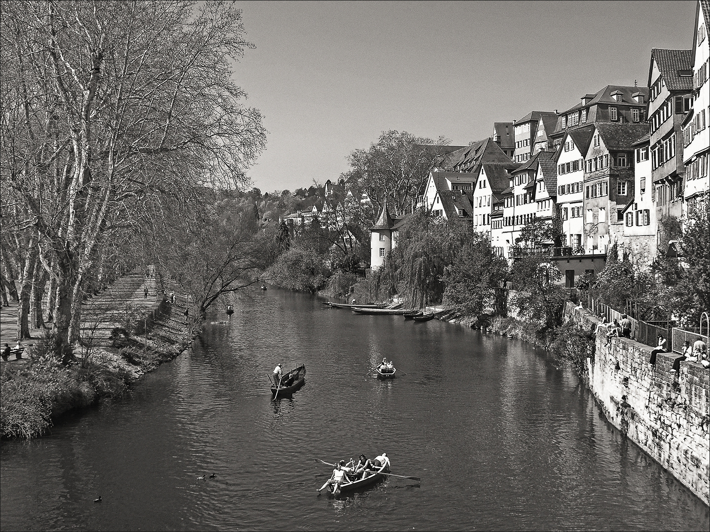 Tübingen - Partie am Neckar - mit Hölderlinturm...