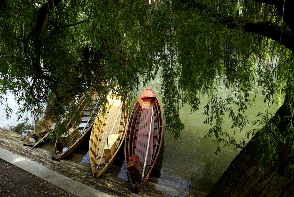 Tübingen - Stocherkähne