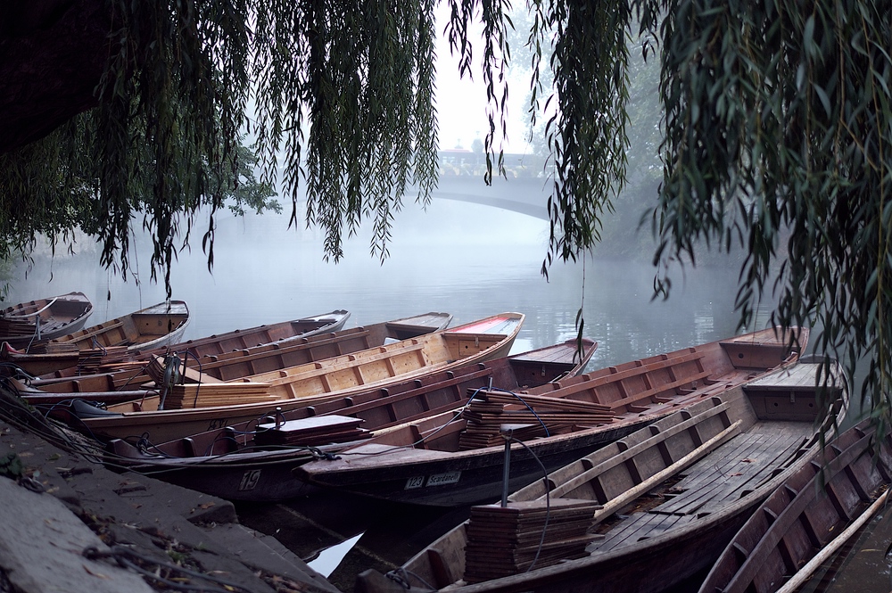 Tübingen Stocherkähne im Herbst